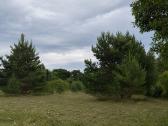75 arų sklypas besiribojantis su upeliu - nuotraukos Nr. 2