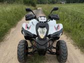 Luxxon 250cc. - nuotraukos Nr. 5