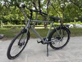 Batavus Dinsdag Exclusive (XL)