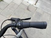Batavus Dinsdag Exclusive (XL) - nuotraukos Nr. 14