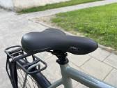 Batavus Dinsdag Exclusive (XL) - nuotraukos Nr. 15