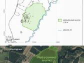 Parduodamas 2,24 ha sklypas Medingėnų k.
