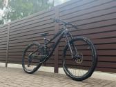 Gekko Firm Amt 29