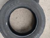 Padangos Evergreen R17