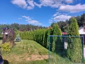 Parduodamas 13a. sodas SB "Stumbras", Stoškai - nuotraukos Nr. 12