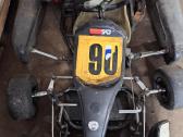 Kartingai