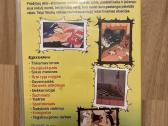 Parduodami puikiai veikiantys Dvd filmukai/filmai - nuotraukos Nr. 12