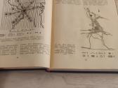 Rajoninio planavimo ir urbanistikos pagrindai 1975 - nuotraukos Nr. 4