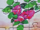 Nauja puzzle dėlionė - nuotraukos Nr. 6