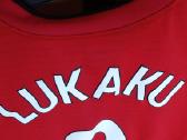 Adidas Manchester United Lukaku marškinėliai - nuotraukos Nr. 7