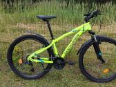 27.5 S-dydis