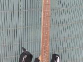 Elektrine gitara - nuotraukos Nr. 2