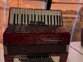 Accordion Weltmeister - nuotraukos Nr. 4