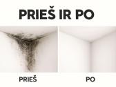 Pelėsio Naikinimo Paslaugos!