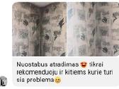 Pelėsio Naikinimo Paslaugos! - nuotraukos Nr. 2