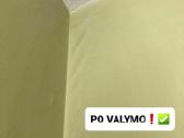 Pelėsio Naikinimo Paslaugos! - nuotraukos Nr. 6