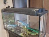 200l akvariumas