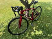 Trek Domane - nuotraukos Nr. 2