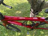 Trek Domane - nuotraukos Nr. 4