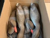 Žąsų profiliniai muliažai Jvs Decoys 6 vienetai