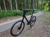 Cannondale Badboy - nuotraukos Nr. 4