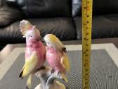 Statulele '' 2 papugeles''