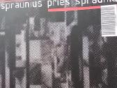 Spraunius prieš Spraunių