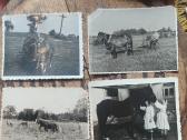 Senos foto su arkliukais ir jų darbu