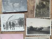 Senos foto su arkliukais ir jų darbu - nuotraukos Nr. 8