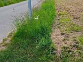 Parduodamas sklypas - nuotraukos Nr. 4