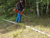 Žolės pjovimas Su Trimeriais ir traktoriuku. - nuotraukos Nr. 5
