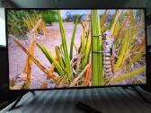 Samsung 50" 127cm. ir 55" 140cm. - nuotraukos Nr. 7