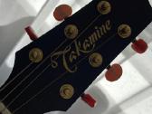 Takamine Ean10c elektroakustinė gitara - nuotraukos Nr. 2