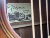 Takamine Ean10c elektroakustinė gitara - nuotraukos Nr. 3