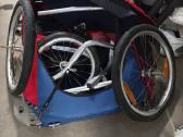 Dviračio priekaba 2 vaikams Chariot - nuotraukos Nr. 3