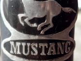 Mustang Swing - nuotraukos Nr. 3