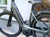 Gazelle avigon