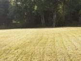 Parduodamas sklypas sodų bendrijoje 6a