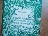 Daug knygu apie sveikatą, psichologija, saviugda - nuotraukos Nr. 17