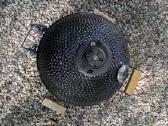 Kamado Bono Minimo - nuotraukos Nr. 5