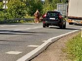10m kastratas kinkomas ir jojamas - nuotraukos Nr. 7