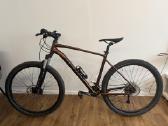 Dvirati Giant Talon1