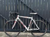 Torpado T1000 54 cm Shimano Sora
