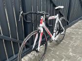 Torpado T1000 54 cm Shimano Sora - nuotraukos Nr. 2