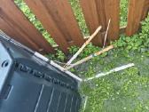 Dovanoju antenas - nuotraukos Nr. 2