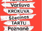 Vairuotojas su mikroautobusu