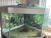 Akvariumas