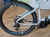 MTB elektrinis dviratis Crussis E-fionna 5.8 L - nuotraukos Nr. 7