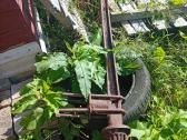 Mtz 80,mtz 50 Dalys kai kurios. - nuotraukos Nr. 38
