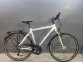 Dviratis Giant L dydis